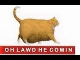 Image result for OH Lawd Meme Preaching