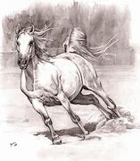 Image result for Cool Horse Drawings