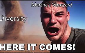 Image result for Vineyard Vines Meme