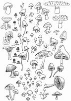 Image result for Mushrooms Growing Out of Technology Coloring Pages