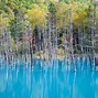Image result for Blue Pond Biei Hokkaido Japan