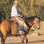 Image result for Ray Conrad Horse Trainer