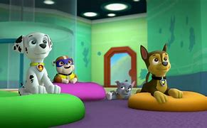 Image result for PAW Patrol Pups Save a Super Pup