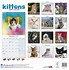 Image result for Cutest Kittens Calendar