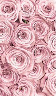 Image result for Rose Gold Floral Background Design