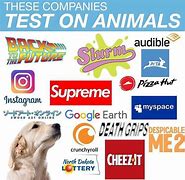 Image result for These Brands Test On Animals Meme