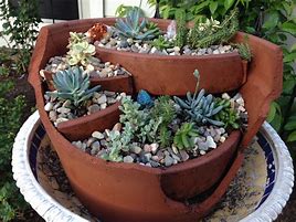 Image result for A Broken Pot with Beautiful Flowers