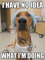 Image result for Medical Dog Meme