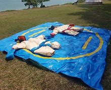 Image result for Inflatable Sumo Costume