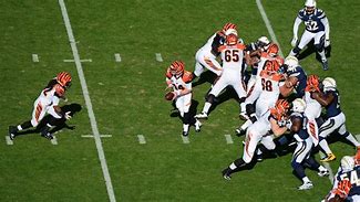 Image result for Cincinnati Bengals Jungle