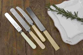 Image result for Bone Handle Knives Dinner Set