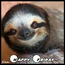 Image result for Friday Sloth