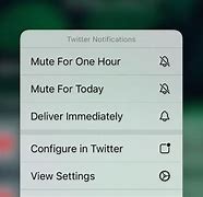 Image result for How to Mute Notifications