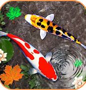 Image result for iPhone 6s Fish Wallpaper