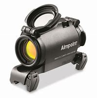 Image result for View through Aimpoint Micro