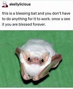 Image result for Funny Fruit Bat Memes