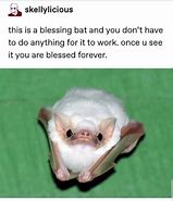 Image result for Suprised Bat Meme