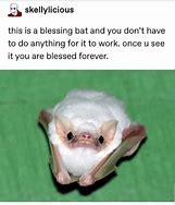 Image result for Smiling Bat Meme