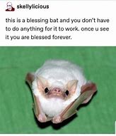 Image result for Crazy Bat Meme