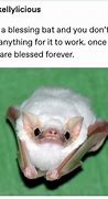 Image result for Attacked by Bat Meme
