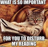 Image result for Funny Cat Memes Book