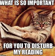 Image result for Book Cat Meme