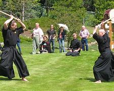 Image result for Japanese Martial Arts
