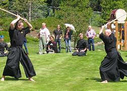 Image result for martial arts styles