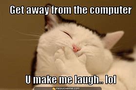 Image result for Funny Cats Saying LOL
