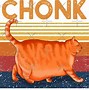 Image result for Him a Comin Cat