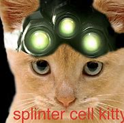 Image result for Splinter Cell Cat