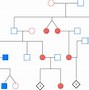 Image result for Pedigree Chart Traits