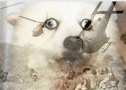 Image result for PTSD Helicopter Meme