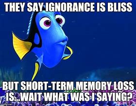 Image result for Short-Term Memory Meme