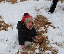 Image result for Snow 12 Inches of Snow