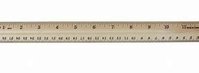 Image result for 12 Inches Scale