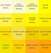 Image result for 50 Different Colors