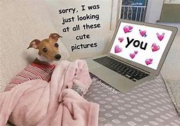 Image result for Wholesome Ily Memes