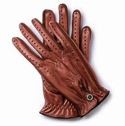 Image result for Horse Cart Racing Gloves