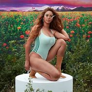 Image result for 99 Problems Beyoncé Swimsuit