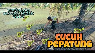 Image result for cucuh�