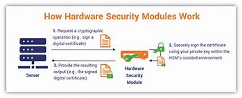 Image result for Hardware Security Module HSM Vendor