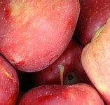 Image result for Little Apple