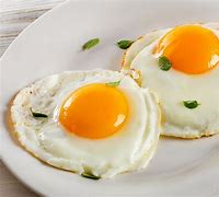 Image result for Oeufs CUIT Fecondes