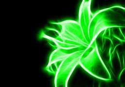 Image result for Cyan Neon Flowers