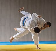 Image result for Best Form of Martial Arts