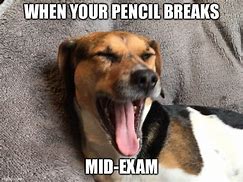 Image result for Meme Dog Exam