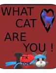 Image result for Whar Cat Meme