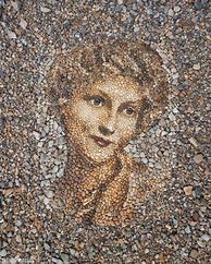 Image result for Pebble Picasso