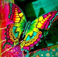 Image result for Butterfly Eye Art